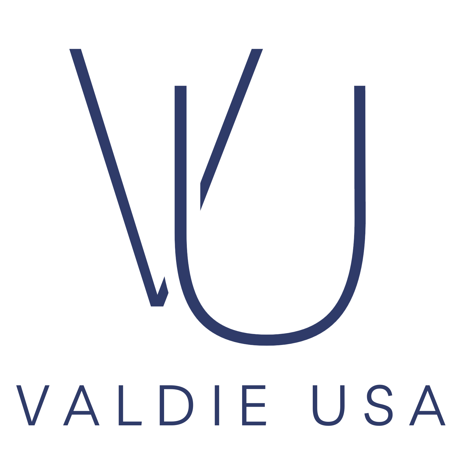 valdieusa.com